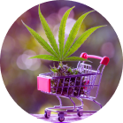 Bulk Orders