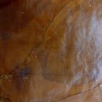Hybrid Shatter – Puff Of Coffee