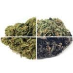 Mix & Match ★★★★★ – 112g [BULK]