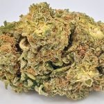 🦍Gorilla Breath🌬️ ★★☆☆☆ – 28g
