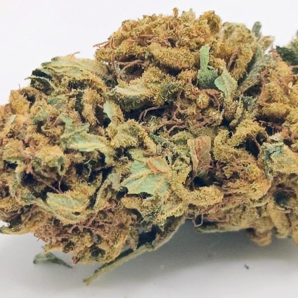 🧀UK Cheese🧀 ★★☆☆☆ – 28g [Seeds]