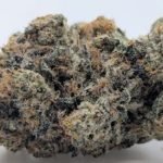 🍋 Organic Lemon Cherry Gelato🍒 ★★★★★ – 7g