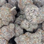 Amnesia Mac Ganja ★★★★☆ – 112g [BULK]