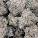 Lemon Berry Candy OG ★★★★★ – 112g [BULK]
