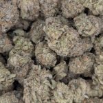 Orange Cookie MAC ★★★★☆ – 112g [BULK]