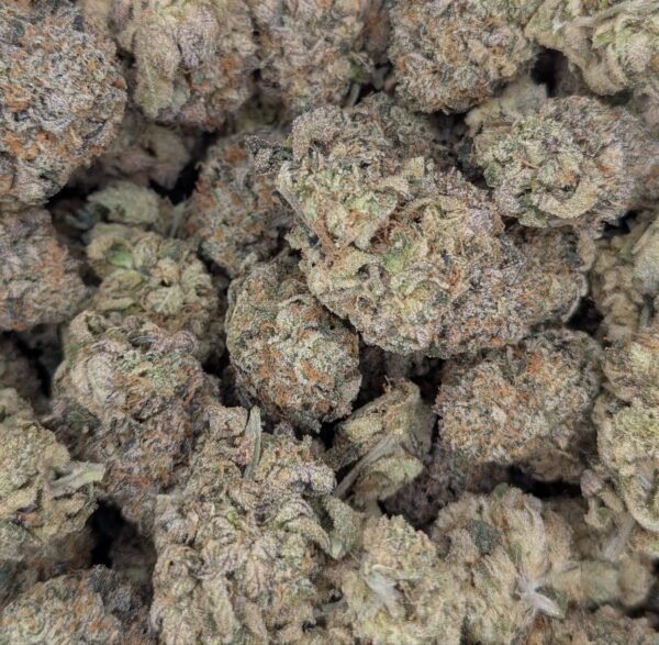Orange Cookie MAC ★★★★☆ – 112g [BULK]