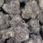 Organic Blue Burst ★★★★★ – 112g [BULK]