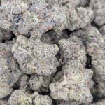 Punk Rock Runtz ★★★★★ – 112g [BULK]