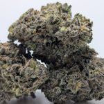 🌬️Organic Blue Burst🫯 ★★★★★ – 7g