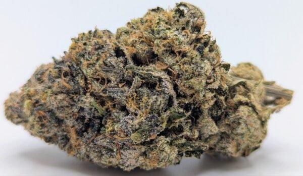 🍊Orange Cookie MAC🍪 ★★★★☆ – 14g