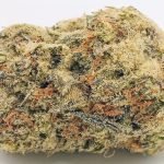 🍧Gelato 41🍨 ★★★★☆ – 14g