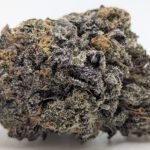👻Ghost Train Haze🚇 ★★★★☆ – 14g