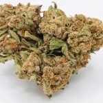 🕺Funky Pine🕺 ★★★☆☆ – 14g