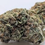 😵‍💫Georgia Tarts🫨 ★★★★★ – 7g
