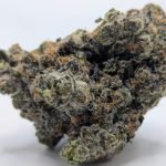🤘Punk Rock Runtz🎸 ★★★★★ – 7g