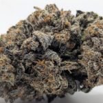 🥜Peanut Butter Rockstar🧑‍🎤 ★★★★☆ – 14g