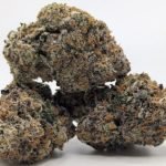 🦍King Kong Kush🦍 ★★★★☆ – 14g