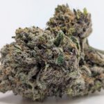 🫐Lemon Berry Candy OG🍬 ★★★★★ – 7g