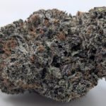 🫪Amnesia Mac Ganja😶‍🌫️ ★★★★☆ – 14g